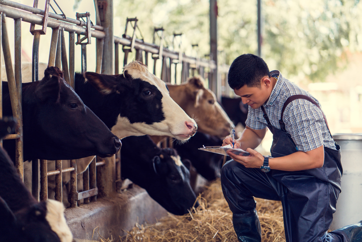 Livestock Buyer Education Requirements: A Comprehensive Guide