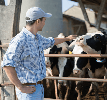 Livestock Buyer Education Requirements: A Comprehensive Guide